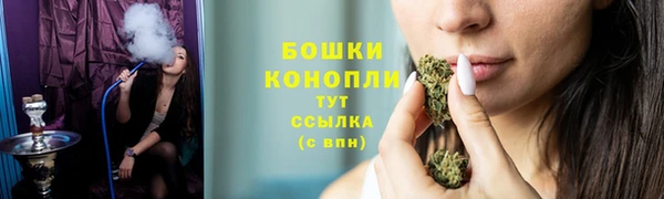 эйфоретик Новодвинск