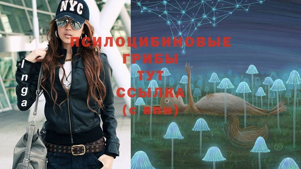 герыч Новокубанск