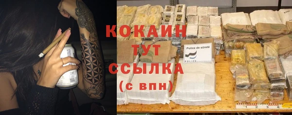 гашик Осинники